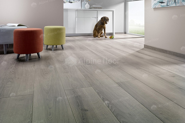 Ламинат Homflor Strong 437 Durban