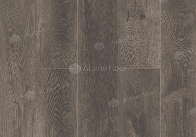 Каменный SPC ламинат Alpine Floor Premium XL Дуб Торфяной