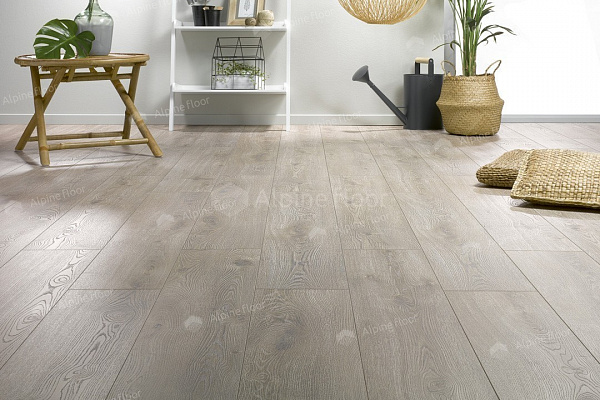 Ламинат Homflor Strong 536 Long Island