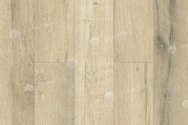 Каменный SPC ламинат Alpine Floor Premium XL Дуб Сливочный